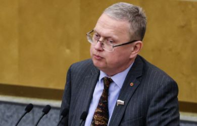 Делягин призвал ввести третью выплату для многодетных: «вместо участка»