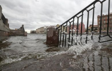 Затопит или нет? Эколог раскрыл, что ждёт Петербург и Находку из-за повышения уровня мирового океана