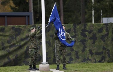 России необходимо «дать НАТО по зубам», чтобы его представители «заткнулись и сушили штаны в туалете»: «Черный Лебедь»