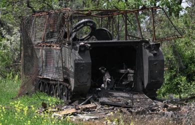 «Деньги через восемь лет» — через сколько родственники получат выплаты за погибших в зоне СВО? 