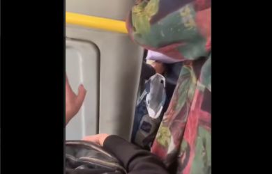 «Не знал, куда руку поставил»: Водитель-мигрант пытался домогаться до маленькой девочки