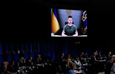 «Нанесен сокрушительный удар по спонсору Зеленского. Киевский режим зашатался»: Царев