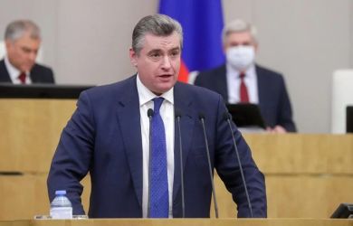 ЛДПР предложила запретить мигрантам покупать пневматическое оружие и электрошокеры