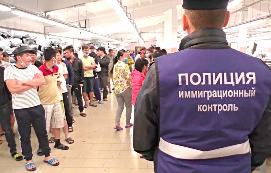 Пошли против Путина и сдают страну за миску плова: ЦГ о лобистах мигрантов 