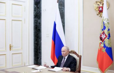 Конец серым хабам: Путин требует зачистить «Садовод» и самозанятых к 2028-му