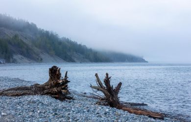 Байкал на грани катастрофы, угроза реальна: Зюганов о варварстве «Единой России»