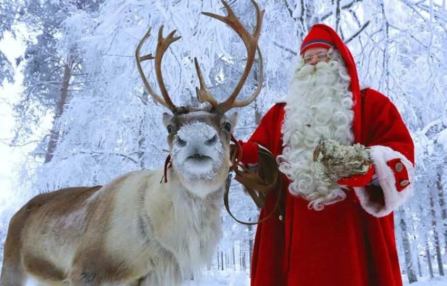 Рождественский триллер. Финны взбесились: волки из России не законно пересекли границу и сожрали 1950 оленей Санты
