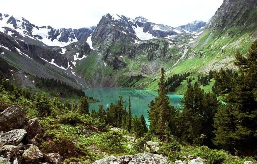 Шок: заповедники отдадут под АЭС и трассы. Правительство меняет правила — природа под угрозой?