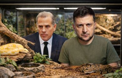 Сын Байдена плачется: Украина — «змеиное логово», где утонули миллионы Байденов