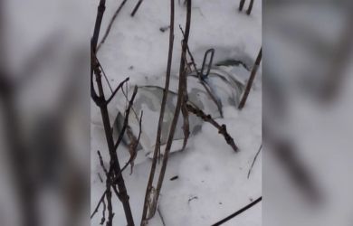 Украинские солдаты прибегают к химическому оружию: пена-газ и ядовитые деньги