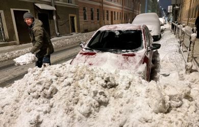 «Показывайте реальные результаты»: эксперт обратился к чиновникам с необычной просьбой