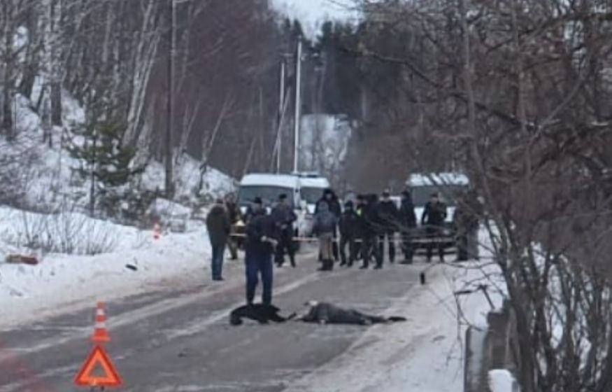 Мальчик 11 лет скатился с горки под Volvo и погиб. Трагедия потрясла Подмосковье