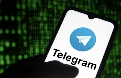 Назван срок для Telegram: мессенджеру дали полгода на решение о работе в России