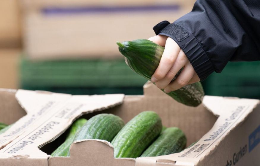 «Чиновники молчат. Огурцы по 1000 рублей за кило! Что людям делать?»: в Госдуме требуют остановить взлёт цен