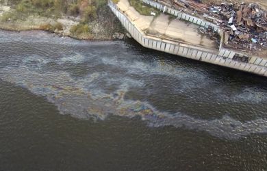 Волга в дерьме? Счетная палата: миллиарды спущены в унитаз на очистку