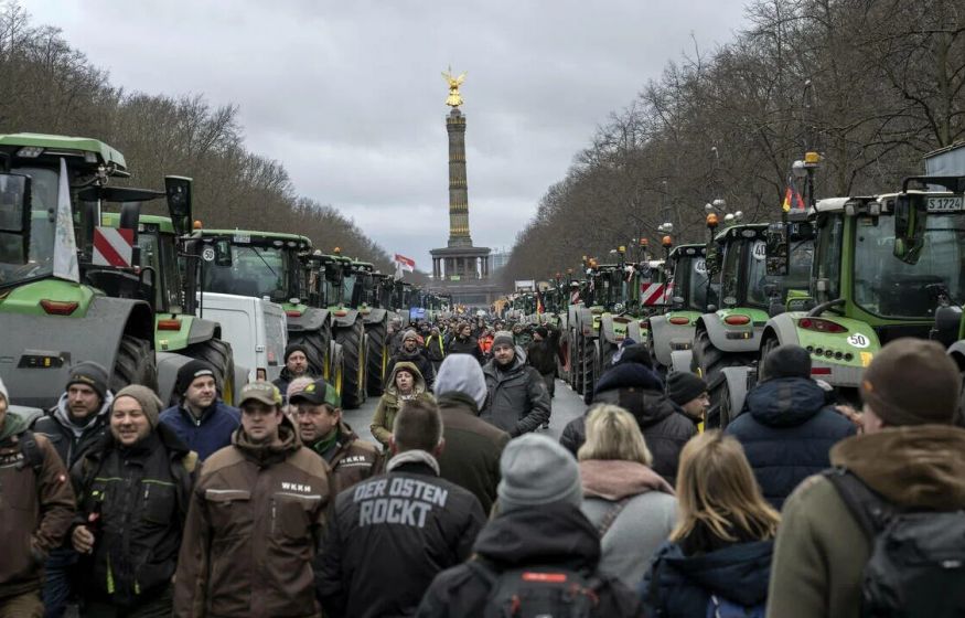 Компенсация за корову — 173 рубля? Фермеры взбунтовались