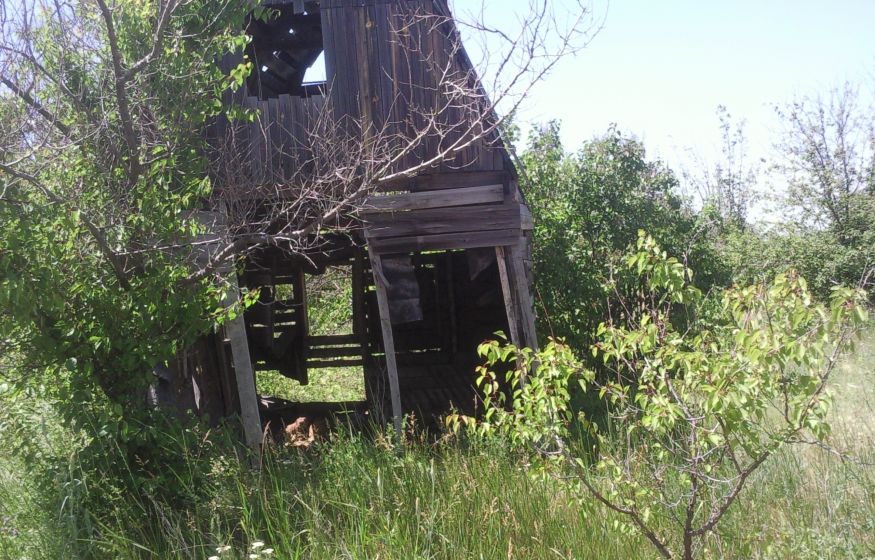 Запустил дачный участок  - попрощаешься со своей землей. С 1 марта живем по-новому