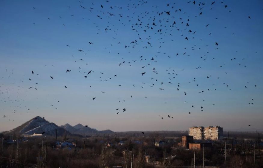 Военкор: «Русофобия не знает пределов». ФСБ поймала диверсанта. Путин созывает срочное совещание: главное к 21:00