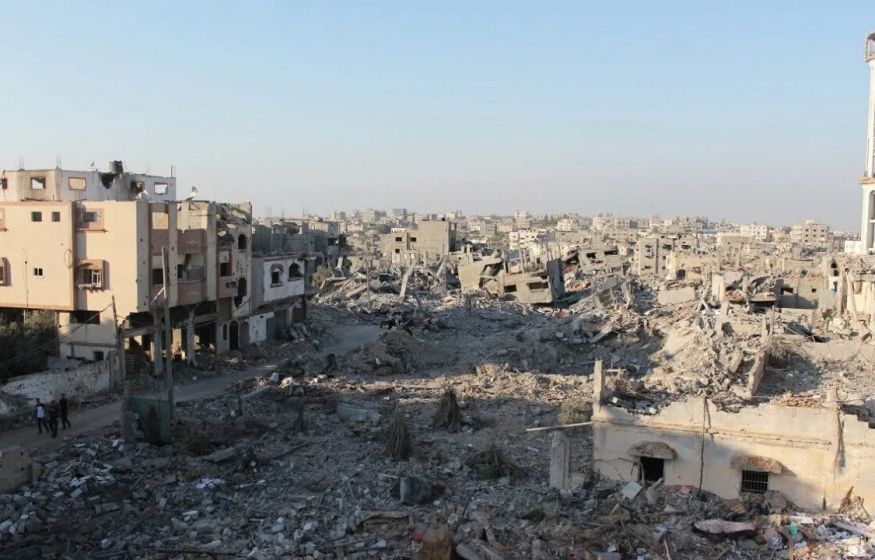 Земля отвергает оккупантов: миллион сосен Израиля погибли на палестинских руинах