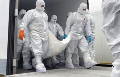 1000 к 41: чудовищное соотношение потерь при обмене телами озвучил военкор Котёнок