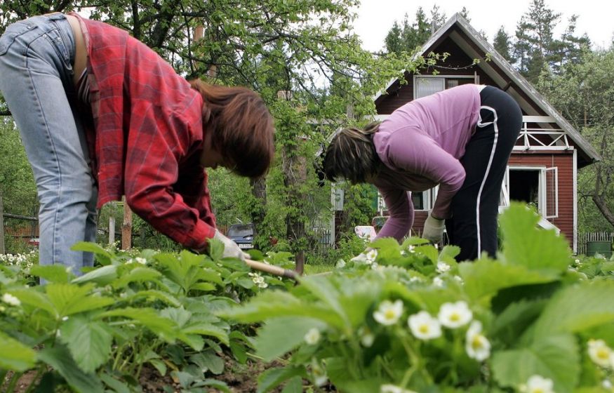Дачников поджидает весенний кошмар: топ-5 рисков, которые уничтожат ваш дом