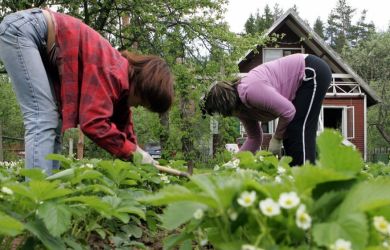 Дачников поджидает весенний кошмар: топ-5 рисков, которые уничтожат ваш дом