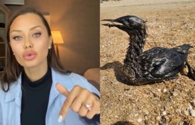 Виктория Боня против системы? «Путина боятся все, нужна прямая линия с народом» — Боня