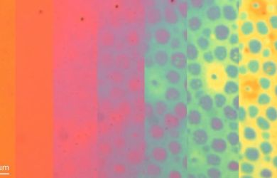 Вдохновляясь кожей осьминога: мягкая плёнка меняет текстуру и цвет по команде