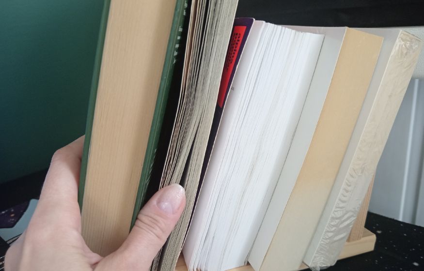 Классика под маркировкой: книги о Высоцком и Булгакове попали в перечень РКС