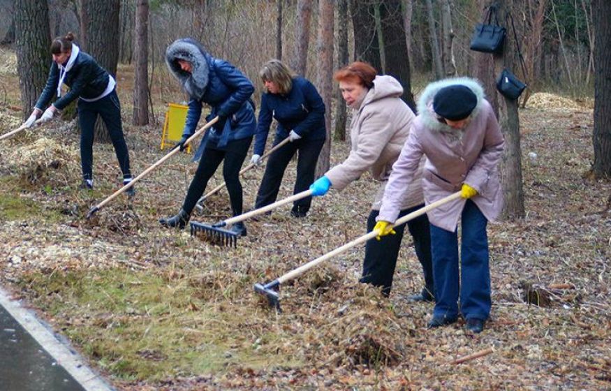 Всероссийский субботник: день, который объединил миллионные города и деревни