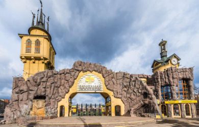 Популярность онлайн-трансляций Московского зоопарка: новый формат взаимодействия с посетителями