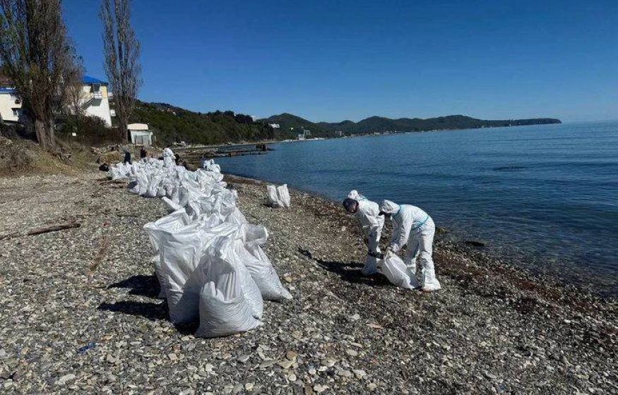 Экологическая победа в Туапсе: ликвидировано более 2,5 тысяч кубометров загрязненной почвы