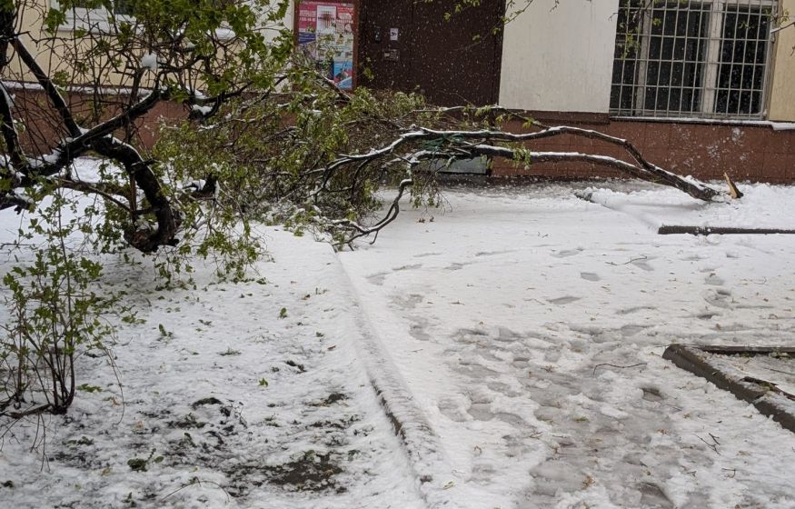 Катастрофа. Апрельский снегопад накрыл Москву... Погибшие, деревья давят машины, мост перекрыли