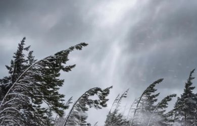 Россия во власти стихии: ребёнок погиб, ещё 31 человек пострадал