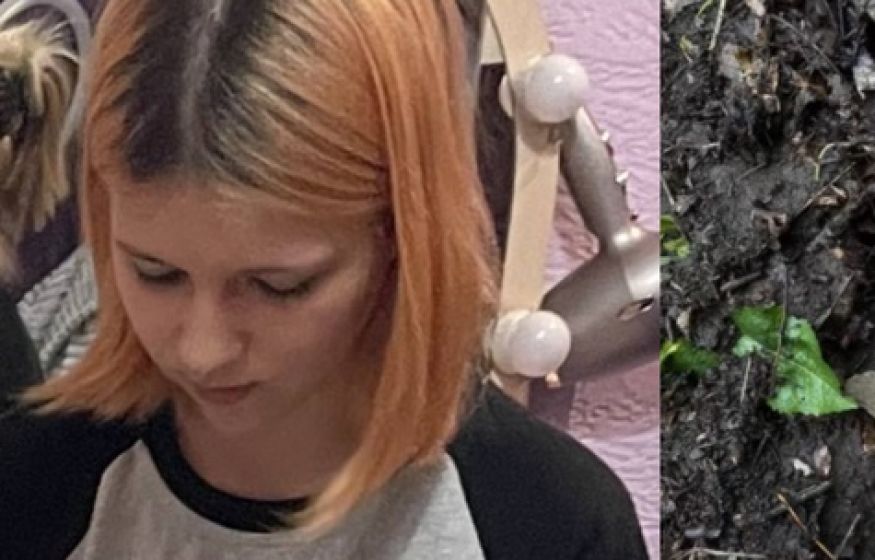 14‑летняя Лера исчезла после дроновой атаки: в Туапсе продолжаются поиски девочки