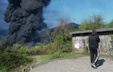 Нефть в море, мазут на реке, птицы гибнут. Что скрывают власти Туапсе? Кошмар города глазами очевидца