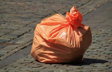Жесть в канаве: Ленобласть потрясла свалка из человеческих кусков в чёрных мешках. Что произошло?