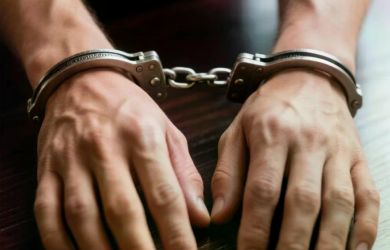 Дело маньяка из Свердловской области: 17 лет колонии и почти миллион долгов