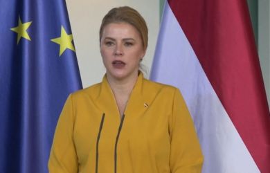  «Хохлодроны» над Литвой: правительство Латвии рухнуло, а НАТО встало на защиту... России?