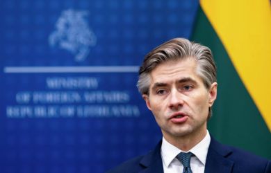 Опять затявкала прибалтийская собачка. Глава МИД Литвы призвал напасть НАТО на Калининград