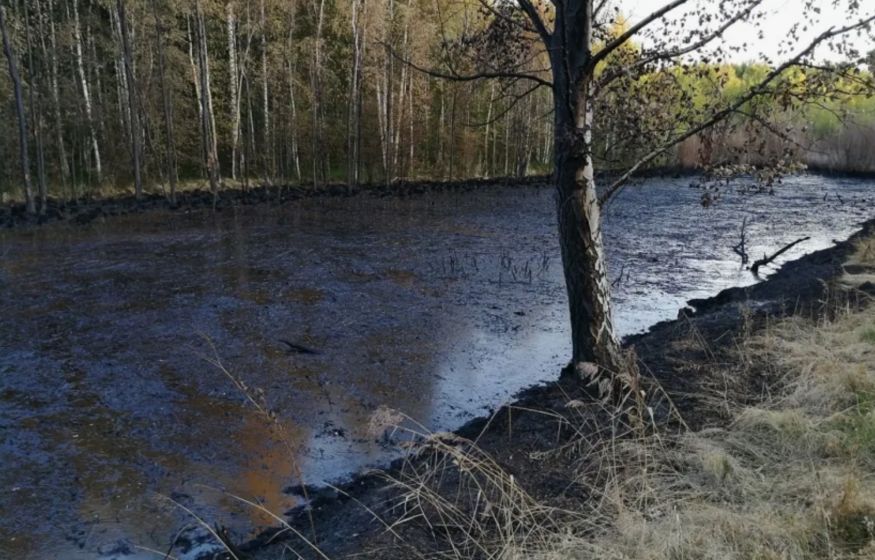 Забавно: «нефтяной дождь» в Ярославле назвали безопасным...