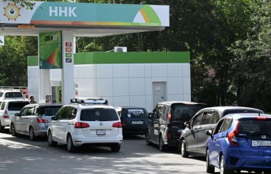 Останина: «Страна может остаться без хлеба». Депутат обвинила правительство в замалчивании топливного кризиса