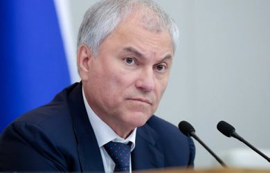 Володин нашёл способ наказать релокантов, не выезжая за границу