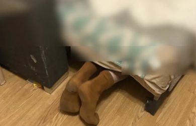 Нормально? Мужчина накопил задолженности по алиментам и спрятался от приставов в диване! План сорвала собственная собака