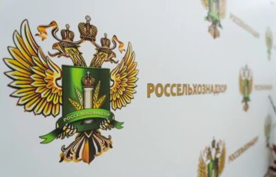 Всё! Молочку из Армении разворачивают. Россельхознадзор объявил о жестких ограничениях