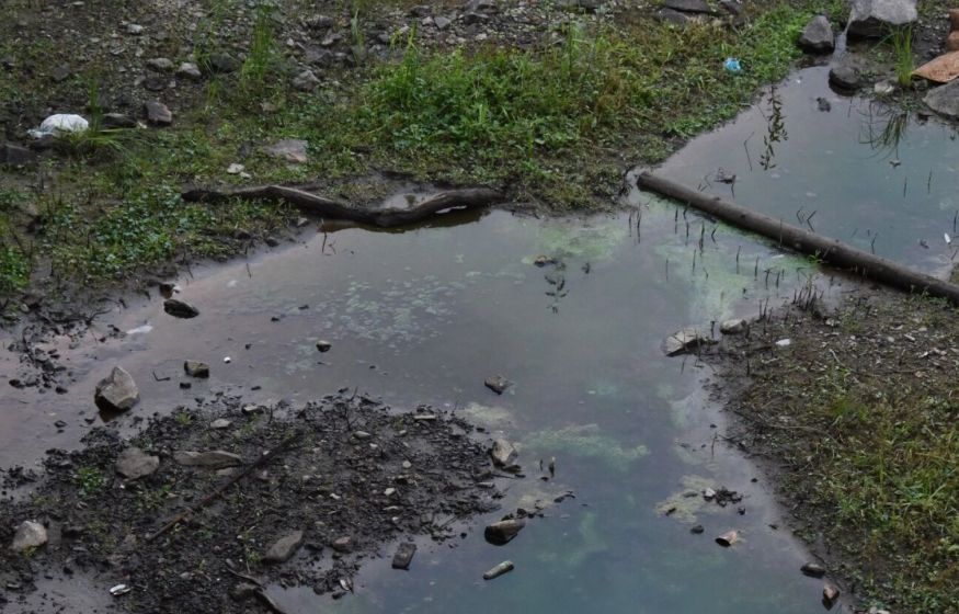 Кошмар! В Тюмени река превратилась в «мёртвую»: вода почернела, запах чувствуют за километры. Что происходит?!