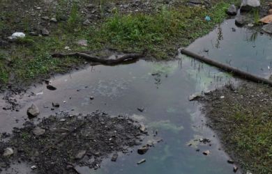 Кошмар! В Тюмени река превратилась в «мёртвую»: вода почернела, запах чувствуют за километры. Что происходит?!