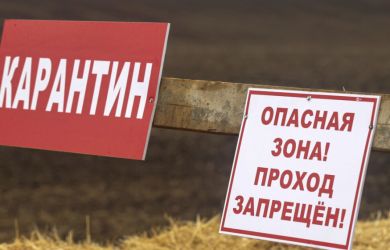Зомби-апокалипсис наступил? Люди в защитных костюмах перепугали тюменцев — причина оказалась серьёзной