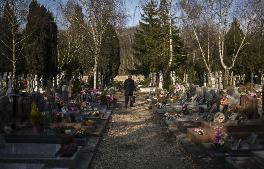 «Госуслуги» запустят поиск мест на кладбище: на проект выделили 295,5 млн рублей «Госуслуги» запустят поиск мест на кладбище: на проект выделили 295,5 млн рублей