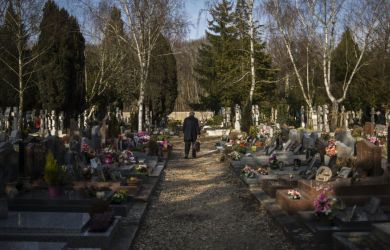 «Госуслуги» запустят поиск мест на кладбище: на проект выделили 295,5 млн рублей